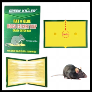 LIBRO TRAMPA PARA RATÓN