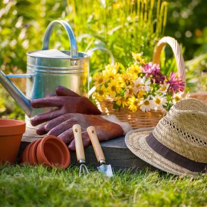 Jardin